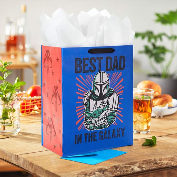 Fathers day gift shops bag