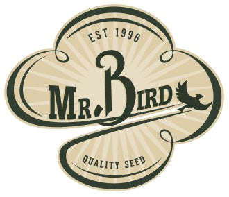 Mr. Bird