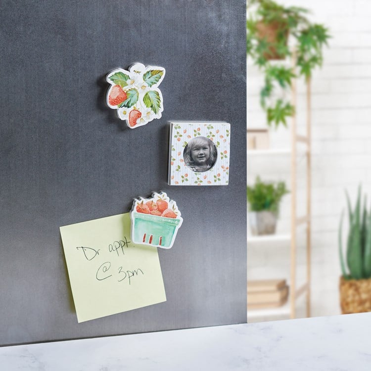 Berry Photo Magnet Set