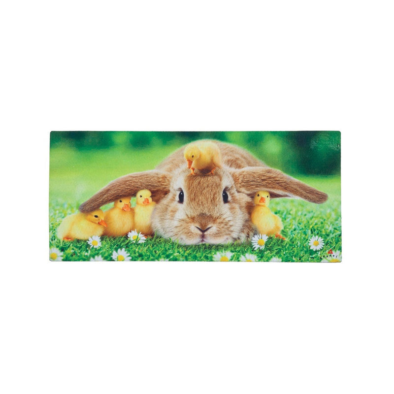 Sassafras Mat Bunny and Duckling