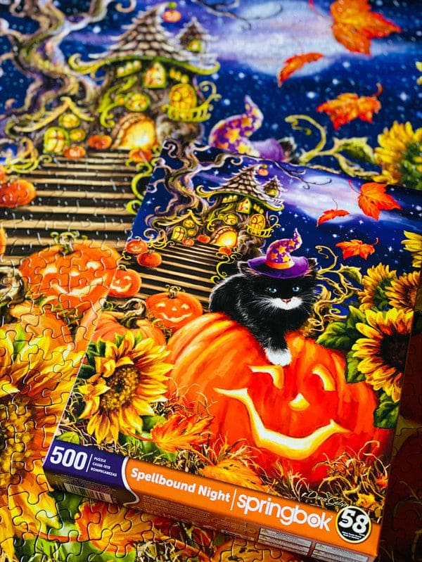 Spellbound Night 500 pc