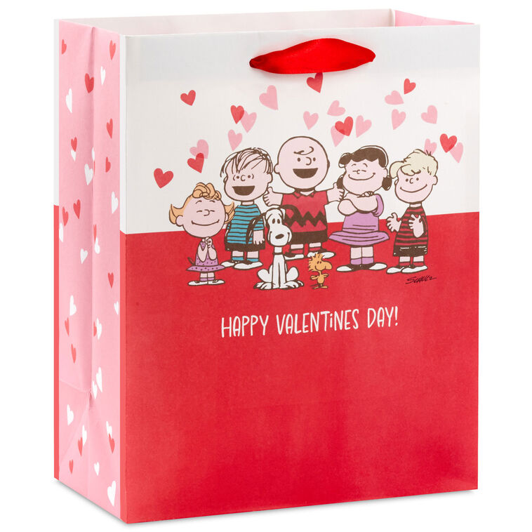 9.6" Peanuts® Gang on Red and White Medium Valentine&