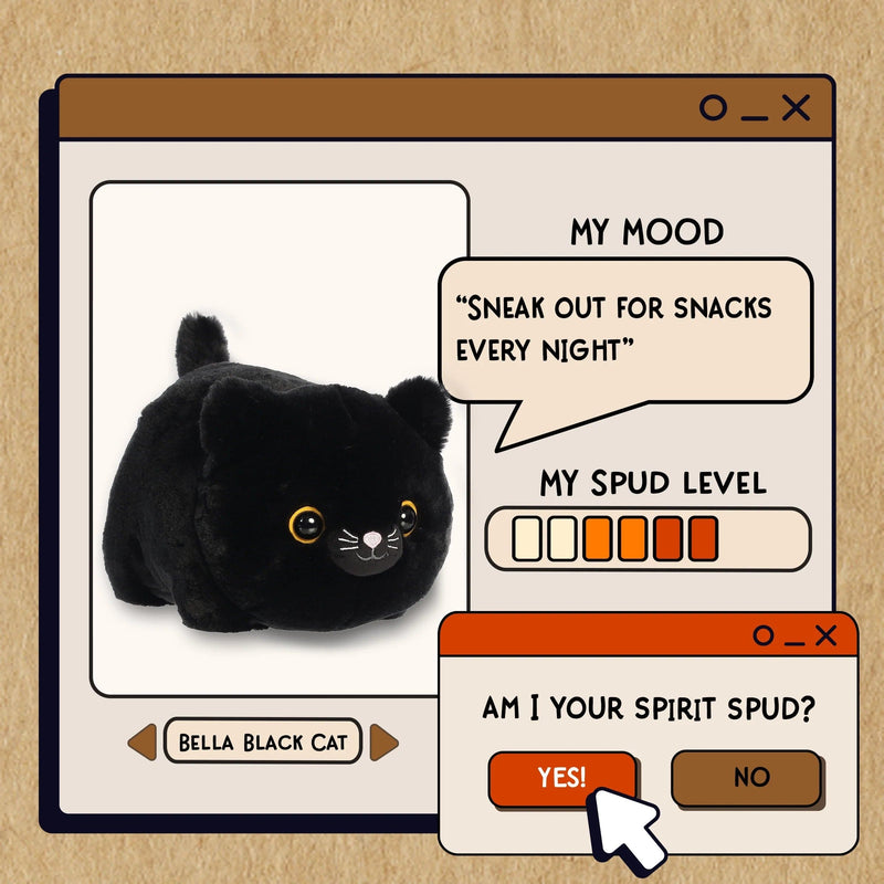 Bella Black Cat - Spudsters