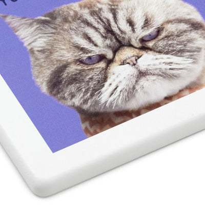 Grumpy Kevin the Cat Photo Funny Coaster