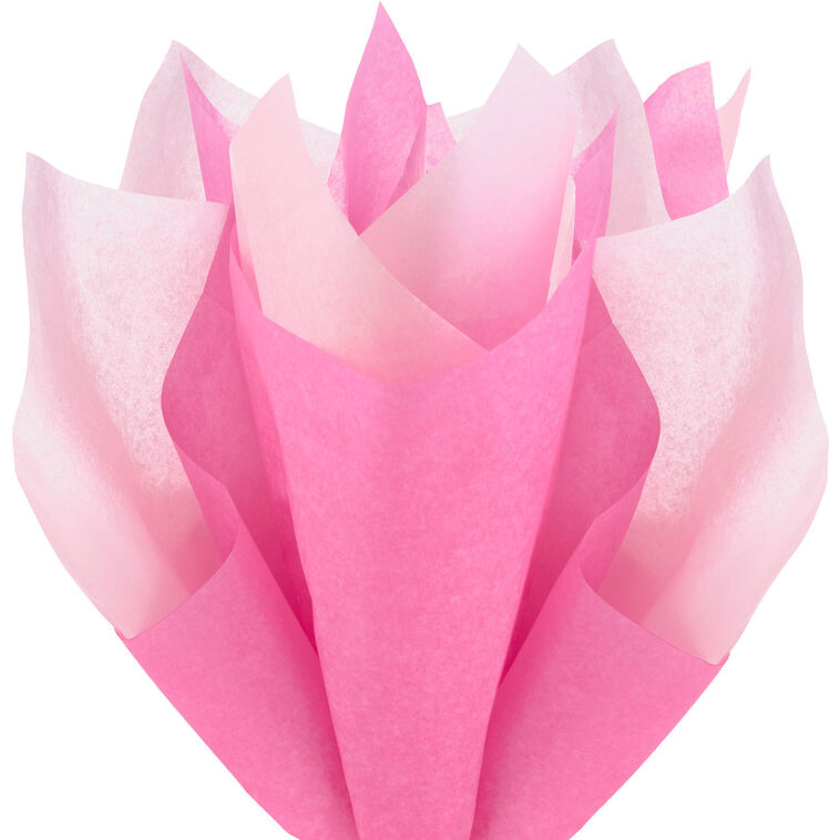 Solid Hot Pink/Medium Pink 2-Pack Tissue Paper, 6 sheets