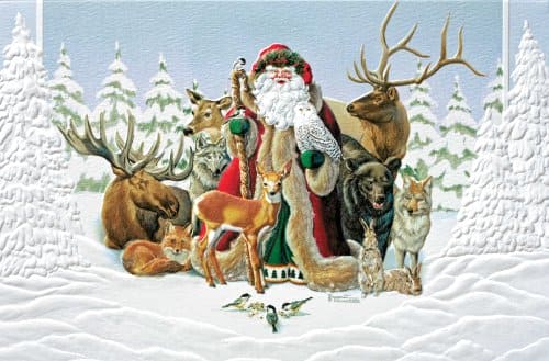 Santa & Animals Box Cards