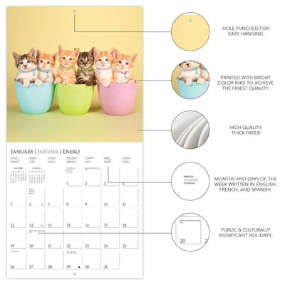 Cute Kittens 12 x 12 Wall Calendar