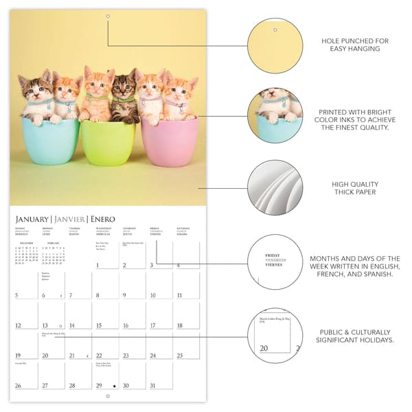 Cute Kittens 12 x 12 Wall Calendar