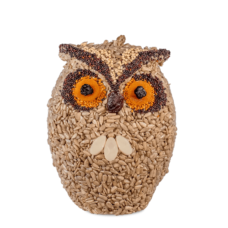 Whoo-Lio Owl