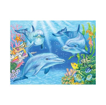 Dolphin Cove