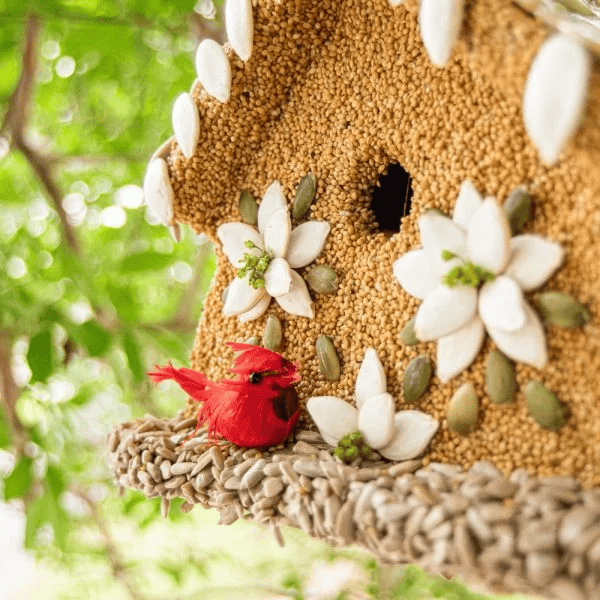 Poinsettia House