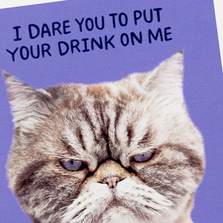 Grumpy Kevin the Cat Photo Funny Coaster