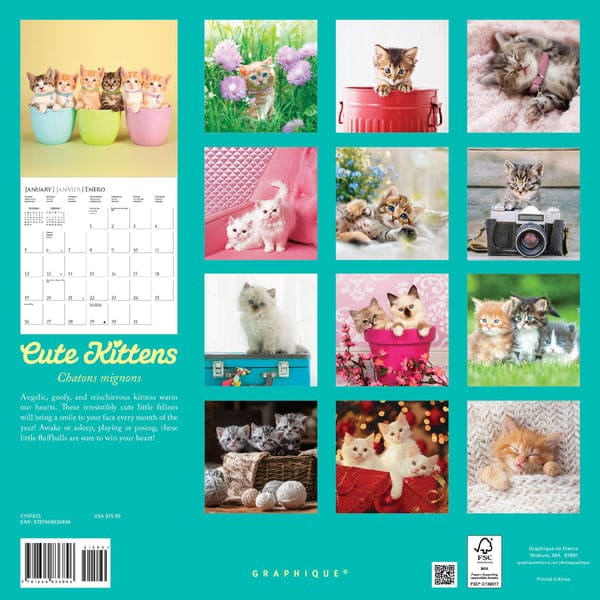 Cute Kittens 12 x 12 Wall Calendar