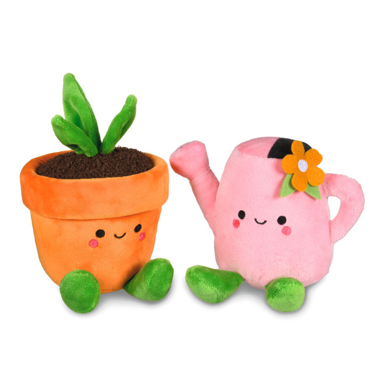 Watering Can and Plant