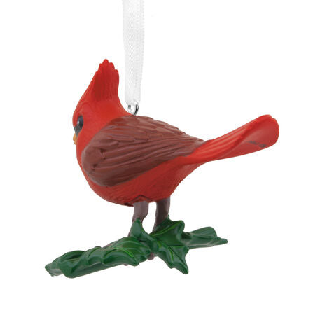 Cardinal Bird Hallmark Ornament