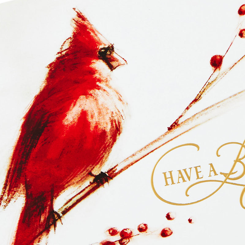 Cardinal on Branch Boxed Christmas Cards, Pack of 40