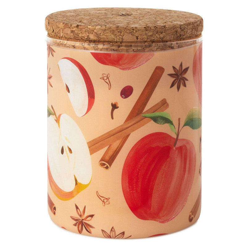 Cinnamon and Chai 2-Wick Scented Candle, 14.5 oz.