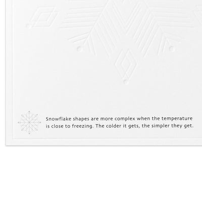 UNICEF Rainbow Snowflake Boxed Holiday Cards, Pack of 20