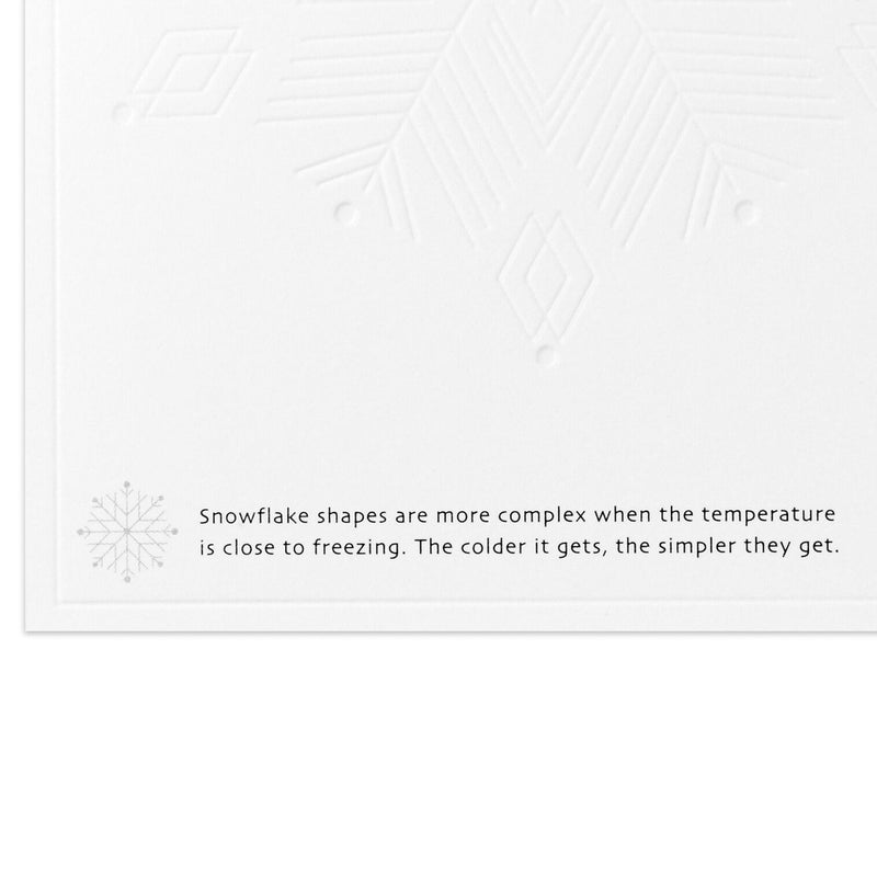 UNICEF Rainbow Snowflake Boxed Holiday Cards, Pack of 20