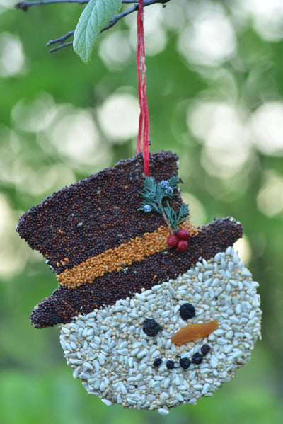 Snowman Birdseed Cookie