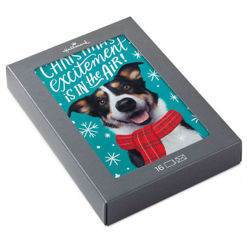 Christmas Excitement Boxed Christmas Cards, Pack of 16