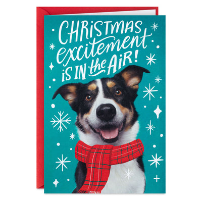 Christmas Excitement Boxed Christmas Cards, Pack of 16