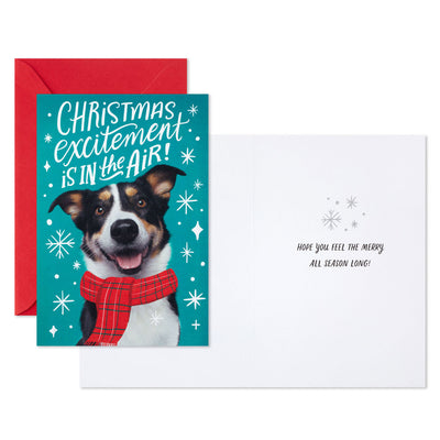 Christmas Excitement Boxed Christmas Cards, Pack of 16