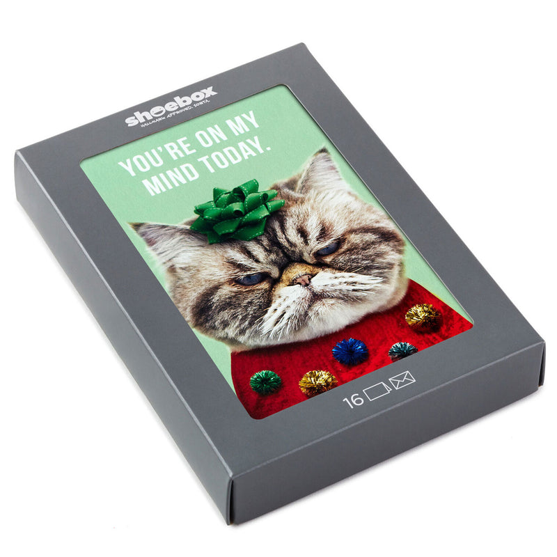 Kevin the Cat in Holiday Sweater Boxed Christmas Cards, Pack of 16