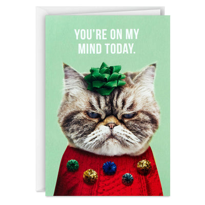 Kevin the Cat in Holiday Sweater Boxed Christmas Cards, Pack of 16