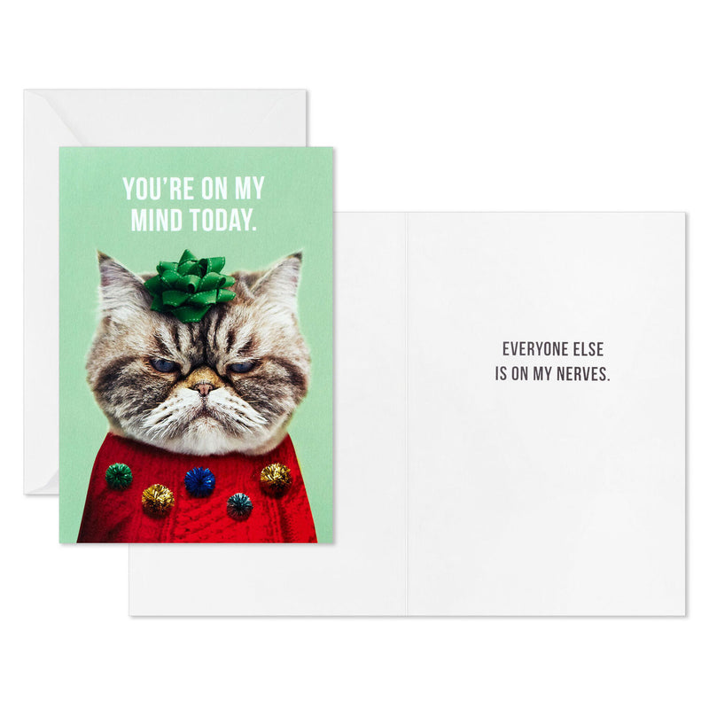 Kevin the Cat in Holiday Sweater Boxed Christmas Cards, Pack of 16