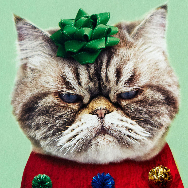 Kevin the Cat in Holiday Sweater Boxed Christmas Cards, Pack of 16