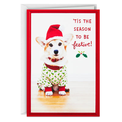 Holiday Pup in Jammies and Hat Boxed Christmas Cards, Pack of 40