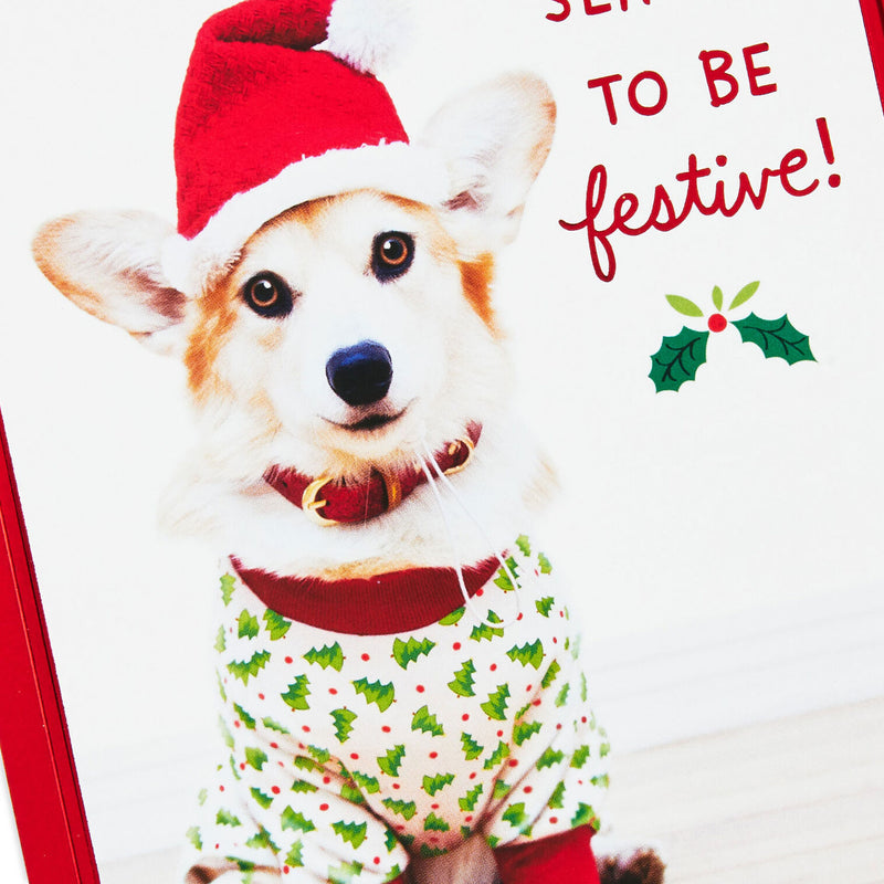 Holiday Pup in Jammies and Hat Boxed Christmas Cards, Pack of 40