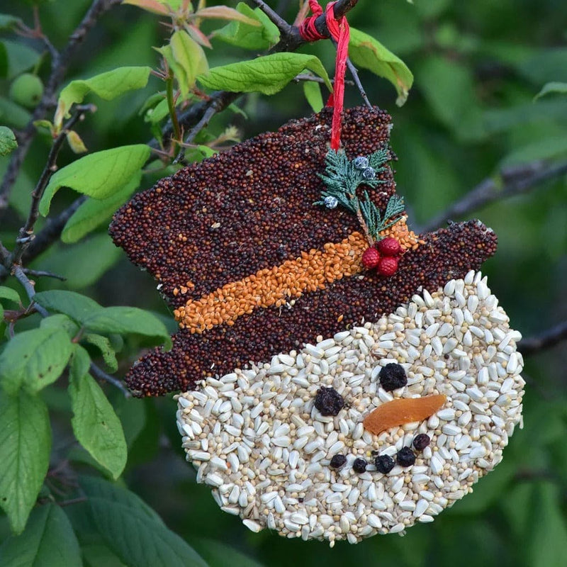 Snowman Birdseed Cookie