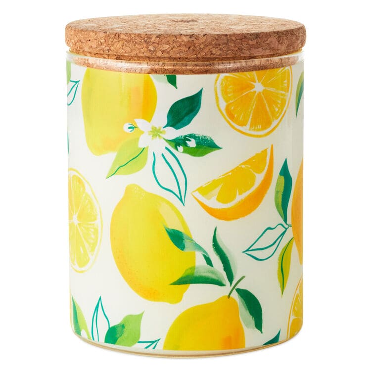 Meyer Lemon and Lemon Zest Scented 2-Wick Jar Candle, 14.5