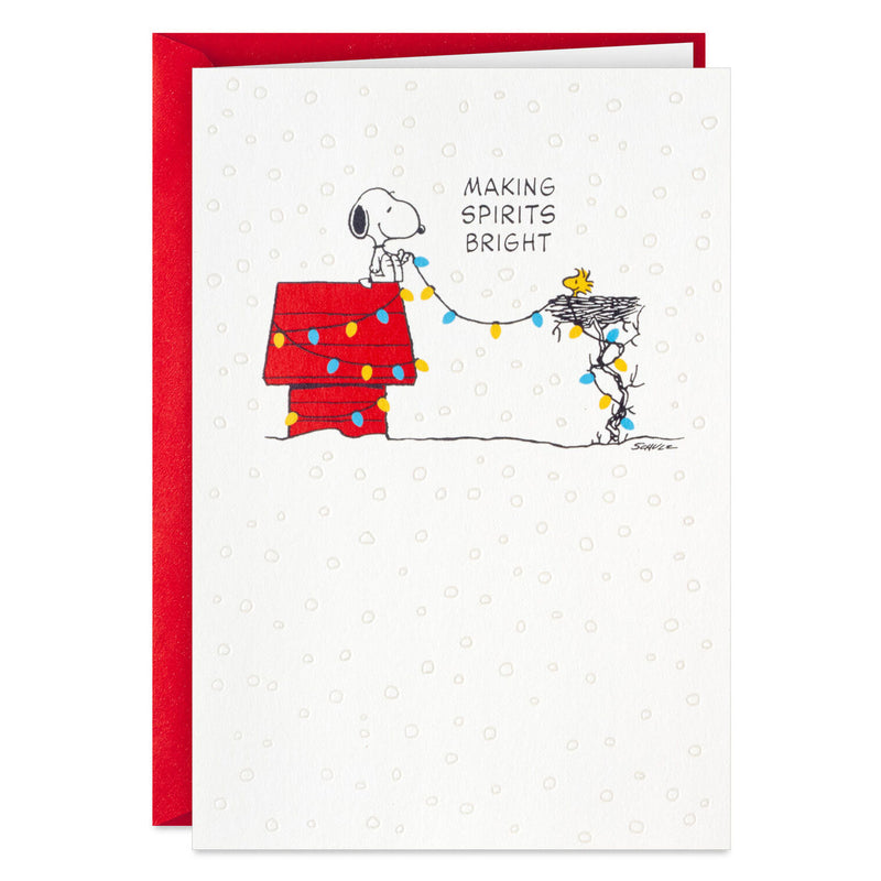 Peanuts® Snoopy and Woodstock Hanging Lights Boxed Christmas Cards, Pack of 16