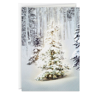 Snowy Pine Tree Blessings Everywhere Boxed Christmas Cards, Pack of 16