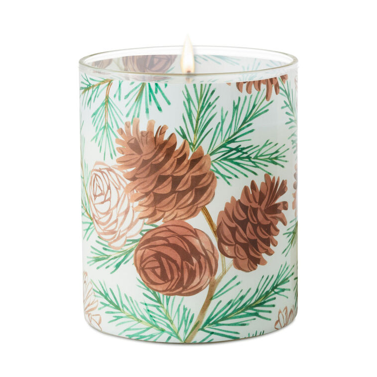 Pine and Birch Scented 2-Wick Jar Candle, 14.5 oz.