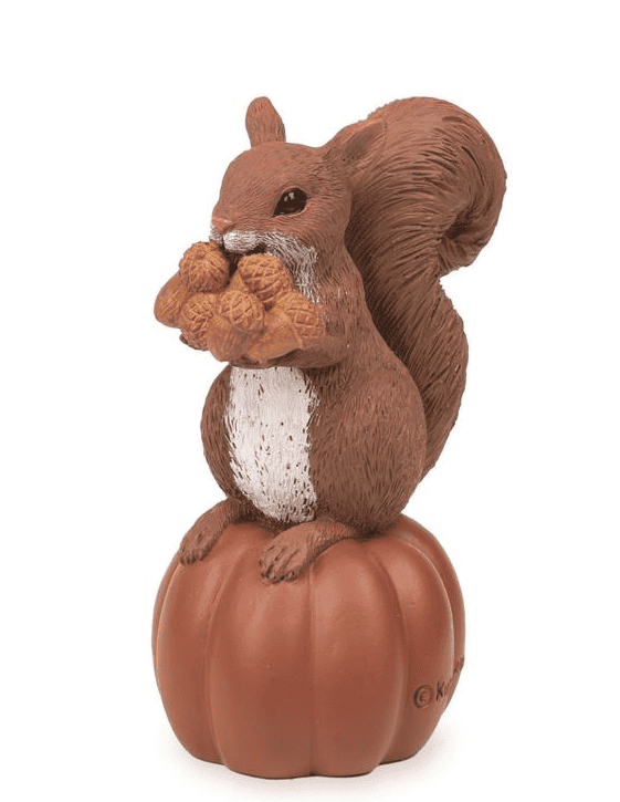 Squirrel on Pumpkin