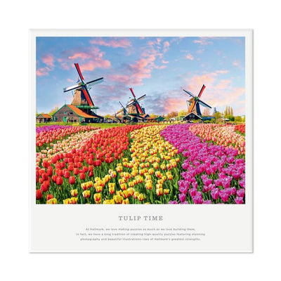 Tulip Time 1000 Piece