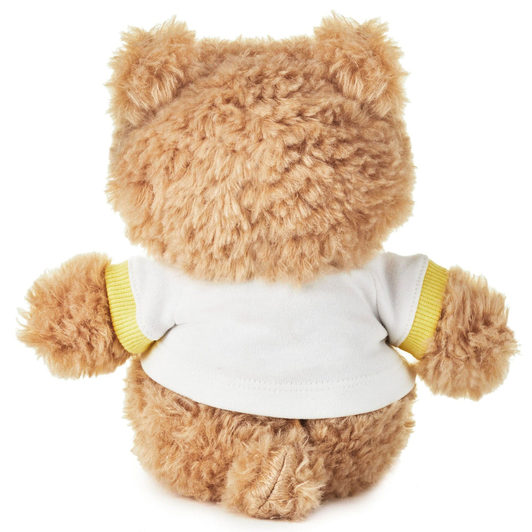 Bears with recordable message on sale