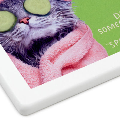 Pampered Cat Photo Funny Coaster