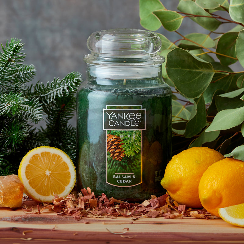 Balsam & Cedar 22 Oz. Candle