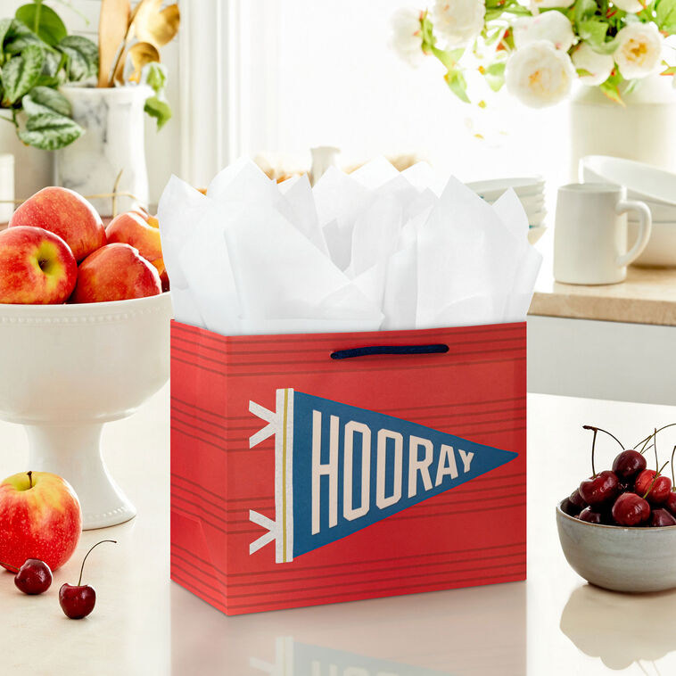 7.7" Hooray Pennant Medium Horizontal Gift Bag