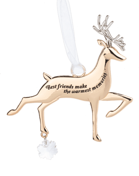 Best Friends make the Warmest Memories Ornament