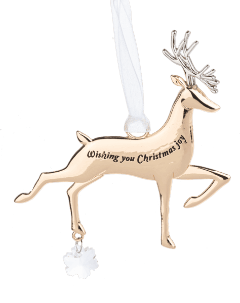 Wishing you Christmas Joy Ornament