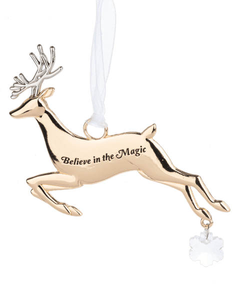 Believe in the Magic Ornament