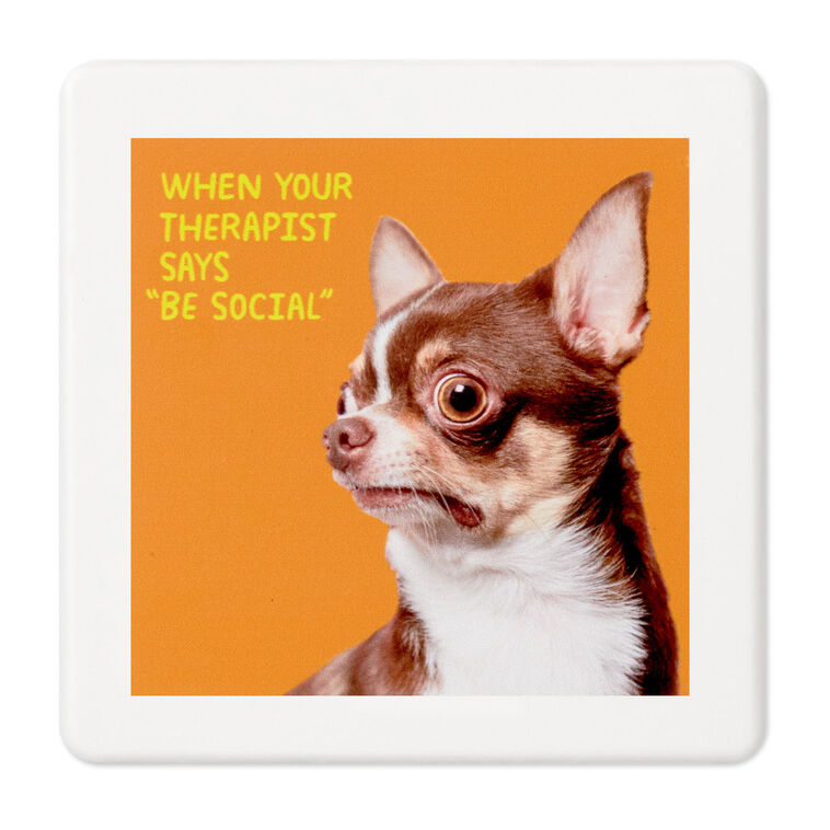 Scared Chihuahua Photo Funny Coaster