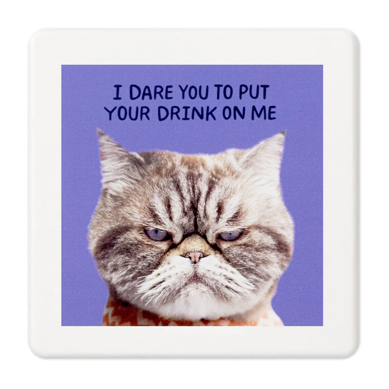 Grumpy Kevin the Cat Photo Funny Coaster