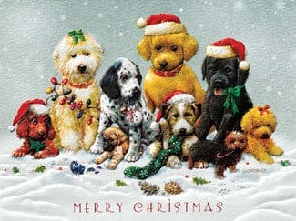 A Very Puppy Christmas  Box Cards